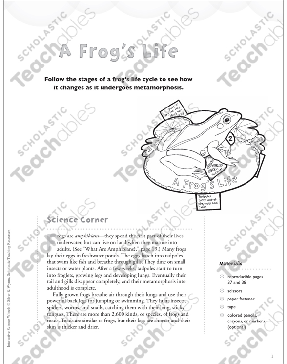 life cycle of an apple clipart scholastic