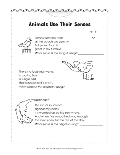 Animals Use Their Senses: Riddle Poem of the Day | Printable Texts