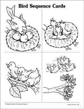 A Bird's Life: Sequence Cards | Printable Skills Sheets