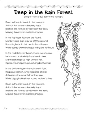 Deep In The Rain Forest Content Building Learning Song