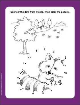 Raccoon: Connect-the-Dots Page