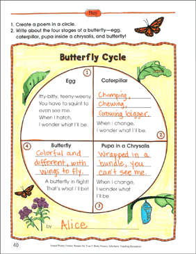 Butterfly Cycle Poetry Frame Printable Skills Sheets