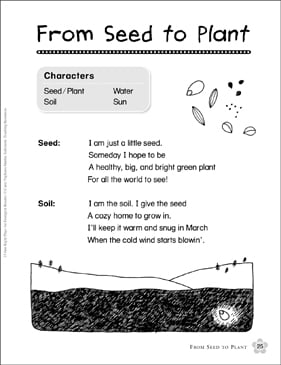 From Seed To Plant: An Emergent Reader Play | Printable Texts
