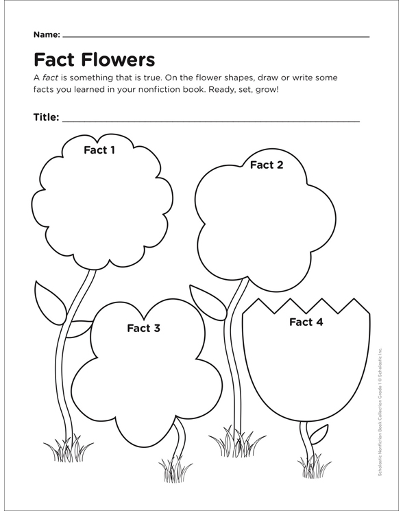 Fact Flowers: Graphic Organizer | Printable Graphic Organizers