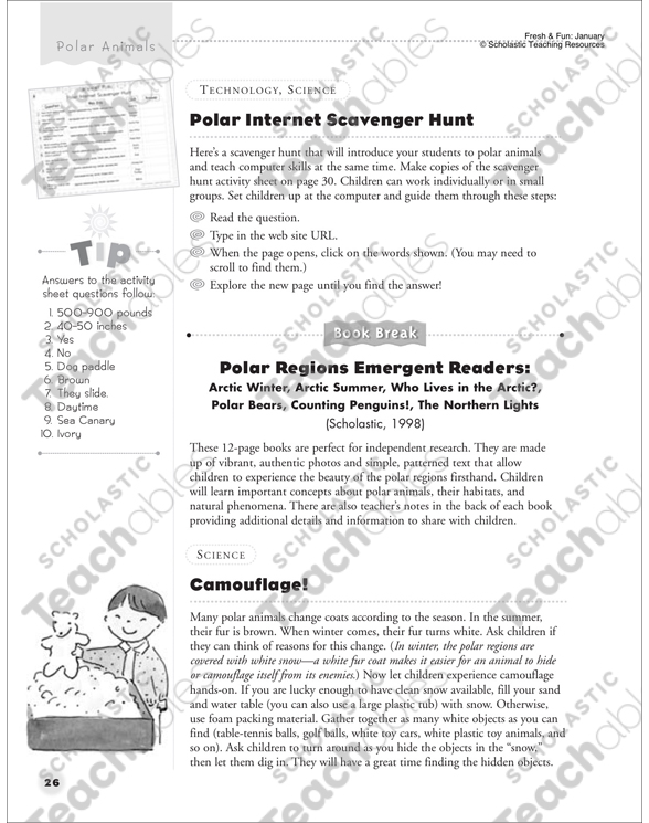 Polar Animals: Polar Internet Scavenger Hunt and Camouflage ...
