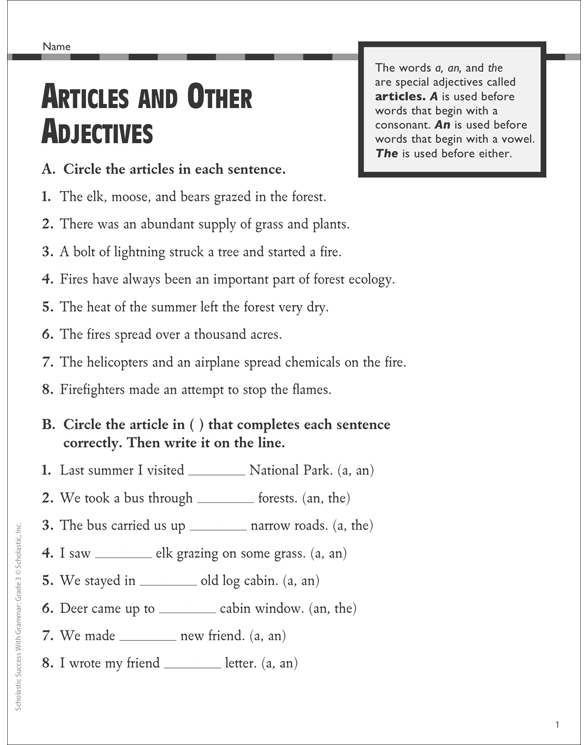 articles-and-other-adjectives-grammar-practice-printable-test-prep-tests-and-skills-sheets
