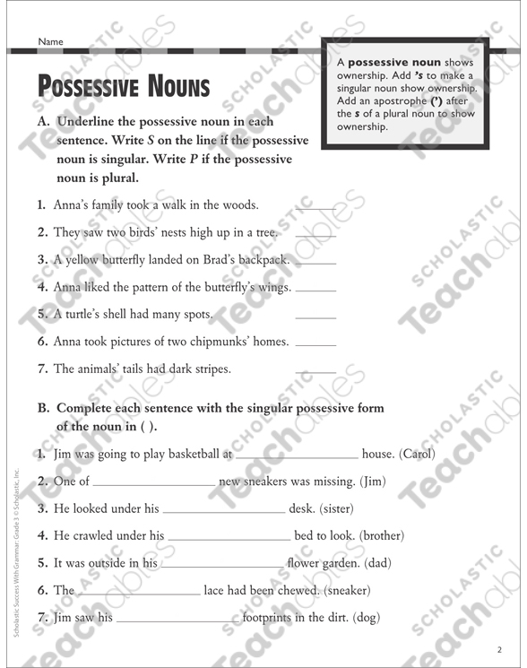 possessive nouns gr 2 3 grammar practice printable skills sheets