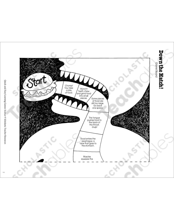 Down The Hatch Digestive System Board Game Printable Game Boards Skills Sheets