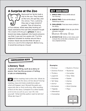 Surprise, Surprise! Figurative Language Task Card | Printable 