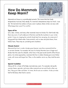 albert einstein text organizer printable texts graphic organizers