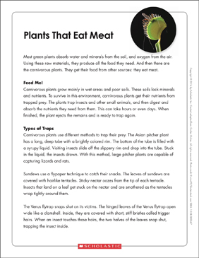 Plant Survival and Adaptation: Printable Worksheets, Activities & Lesson  Plans for Kids