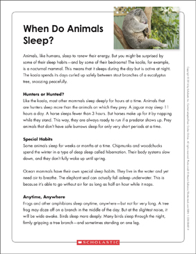 When Do Animals Sleep?: Text & Organizer | Printable Graphic Organizers,  Texts