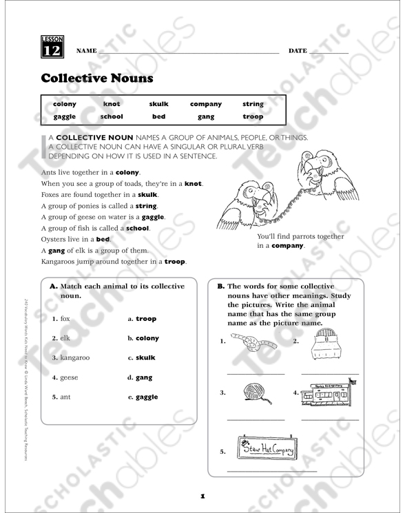 collective nouns grade 5 vocabulary printable skills sheets