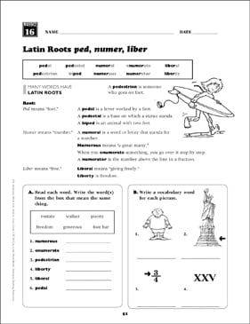 Latin Roots (ped, numer, liber): Grade 5 Vocabulary ...
