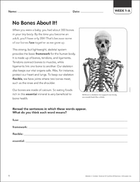 the human body science words in context printable skills sheets