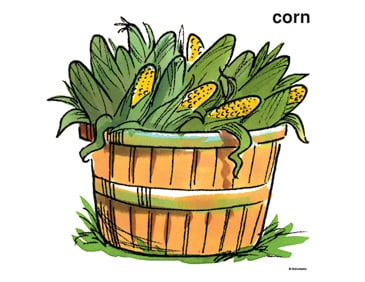 corn clip art