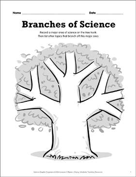 Branches Of Science Science Mini Lesson Printable Graphic Organizers Skills Sheets