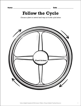 Follow the Cycle: Science Mini-Lesson | Printable Graphic Organizers