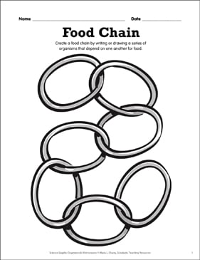 Food Chain: Science Mini-Lesson | Printable Graphic ...
