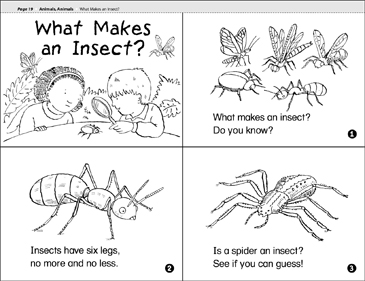 insects printables worksheets activities coloring pages clipart more for kids