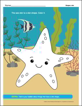 Star: Learning Shapes