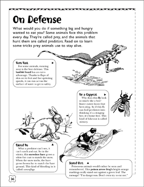 Animal Survival and Adaptation Printables Worksheets & Activities for Kids