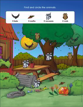 Backyard at Night: Find-and-Count