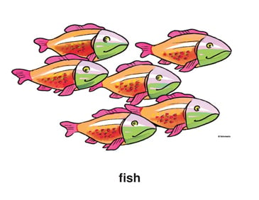 School of Fish  Printable Clip Art and Images