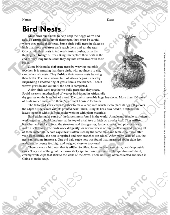 Bird Nests: Passage With Crossword | Printable Crossword ...