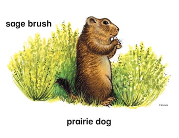 prairie dog clip art