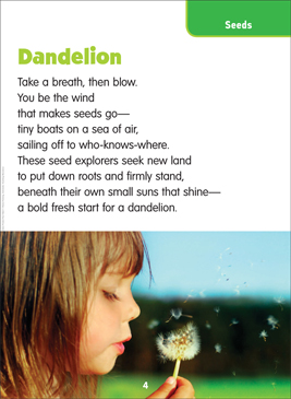 Why Science Poem Printable Lesson Plans And Ideas Texts