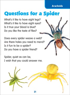 Questions For A Spider Science Poem Printable Lesson Plans And Ideas Texts