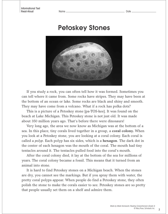 Petoskey Stones: Reading Homework | Printable Texts and Skills Sheets