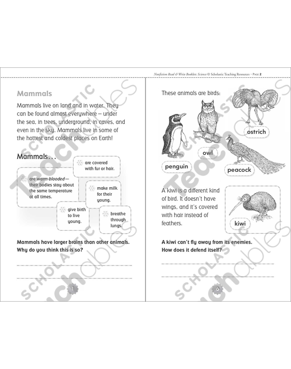 Animal Groups | Printable Mini-Books