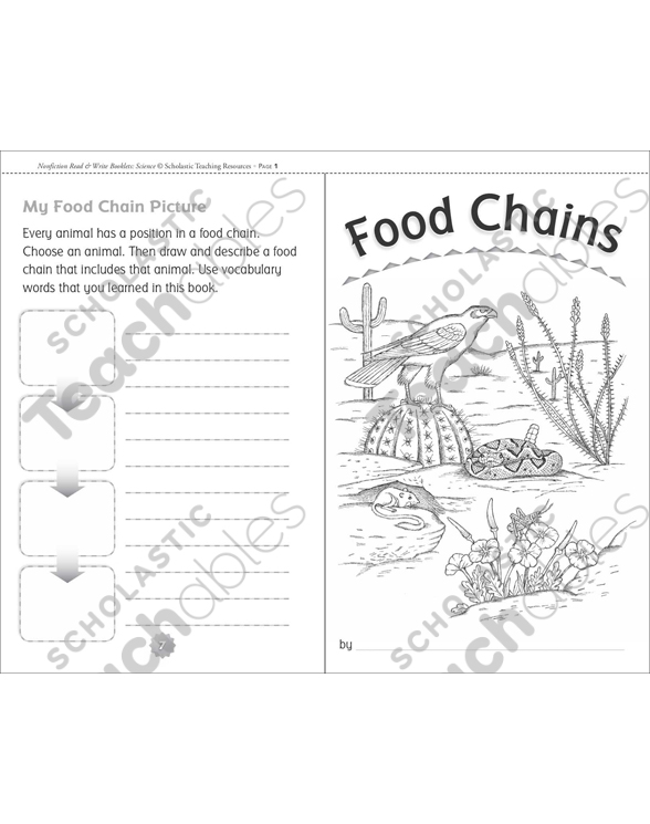 Food Chains | Printable Mini-Books