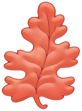 orange maple leaves clip art