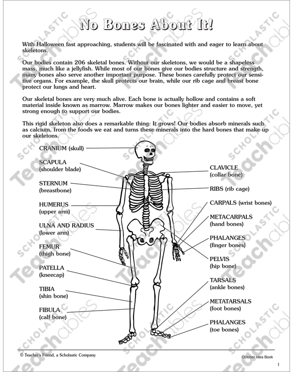 No Bones About It: Nonfiction Passage | Printable Texts ...