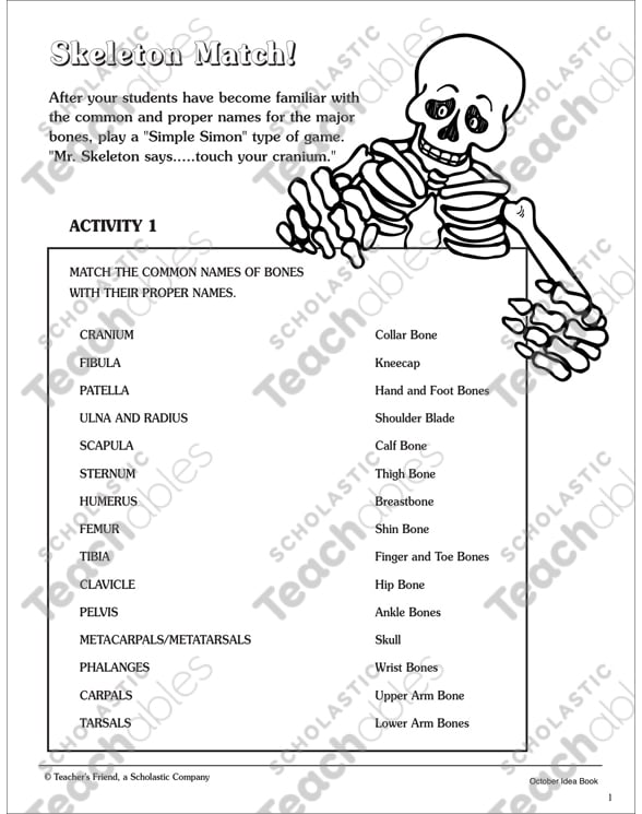 of a pelvic bone crossword