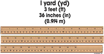 One hotsell foot ruler