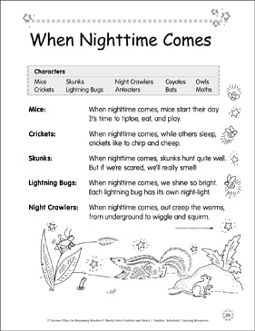 Nocturnal Animals Comprehension