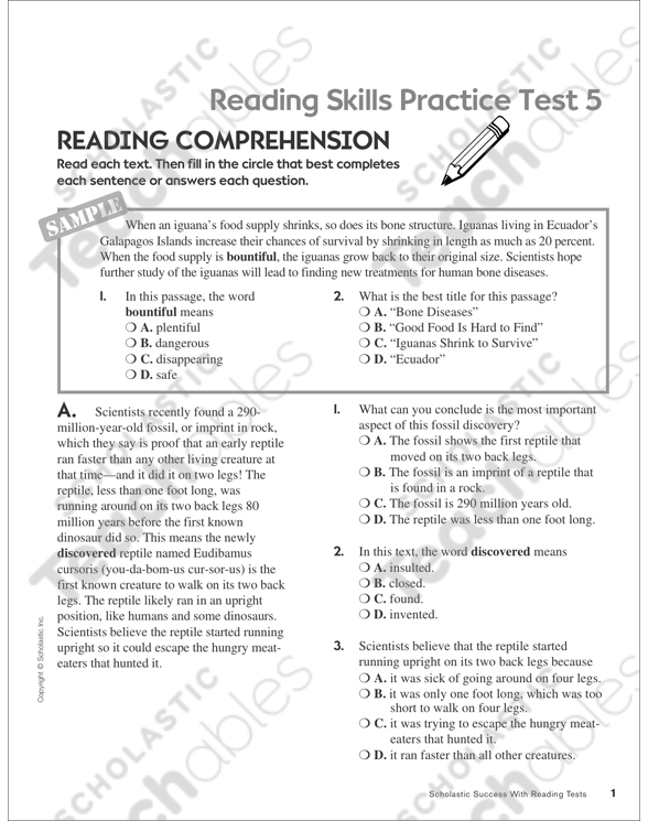 reading skills practice test 5 grades 5 6 printable test prep and tests skills sheets