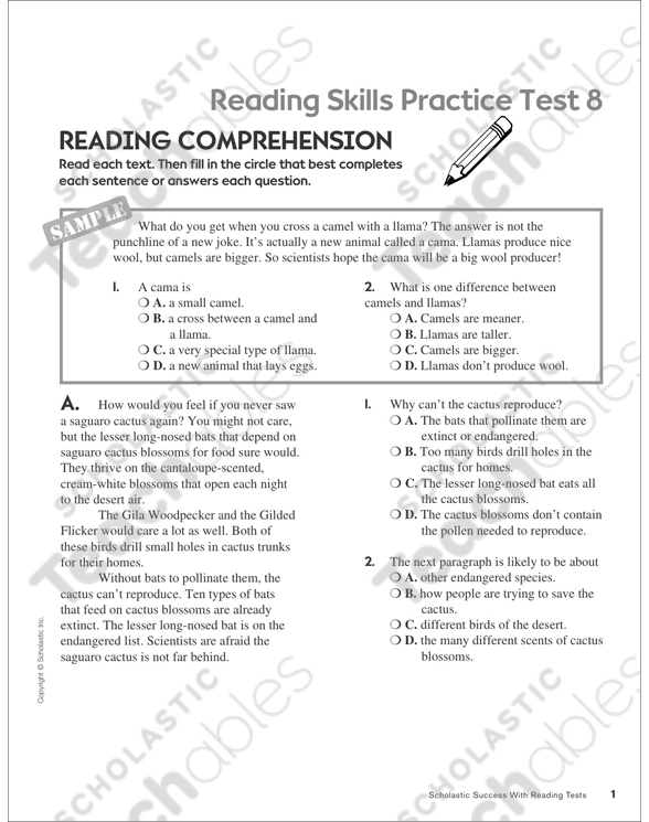 reading skills practice test 8 grades 5 6 printable test prep and tests skills sheets
