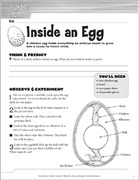 inside an egg a life science journaling activity printable skills sheets