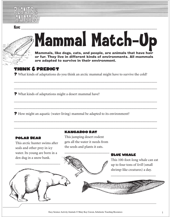 Mammal Match-Up: A Life Science Journaling Activity | Printable Skills