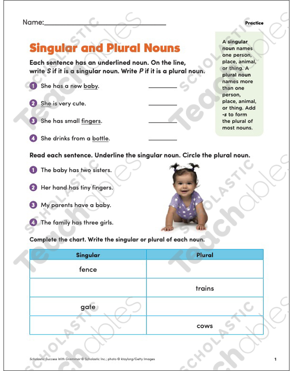 singular and plural nouns grade 4 collection printable differentiation collections