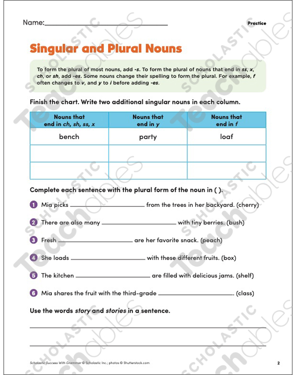 Singular And Plural Nouns Grade 4 Collection Printable Differentiation Collections