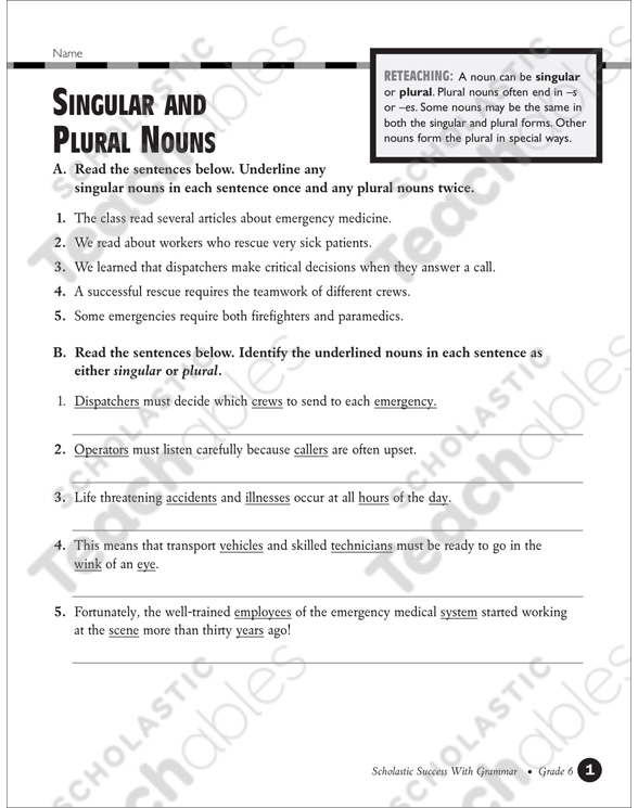 singular and plural nouns grade 4 collection printable differentiation collections