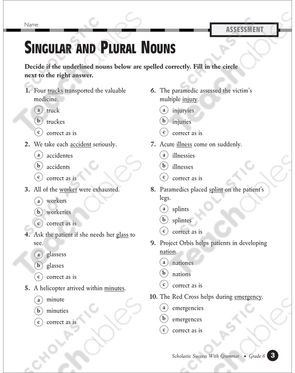 singular and plural nouns grade 4 collection printable differentiation collections
