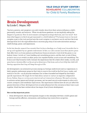 Image of Brain Development printable