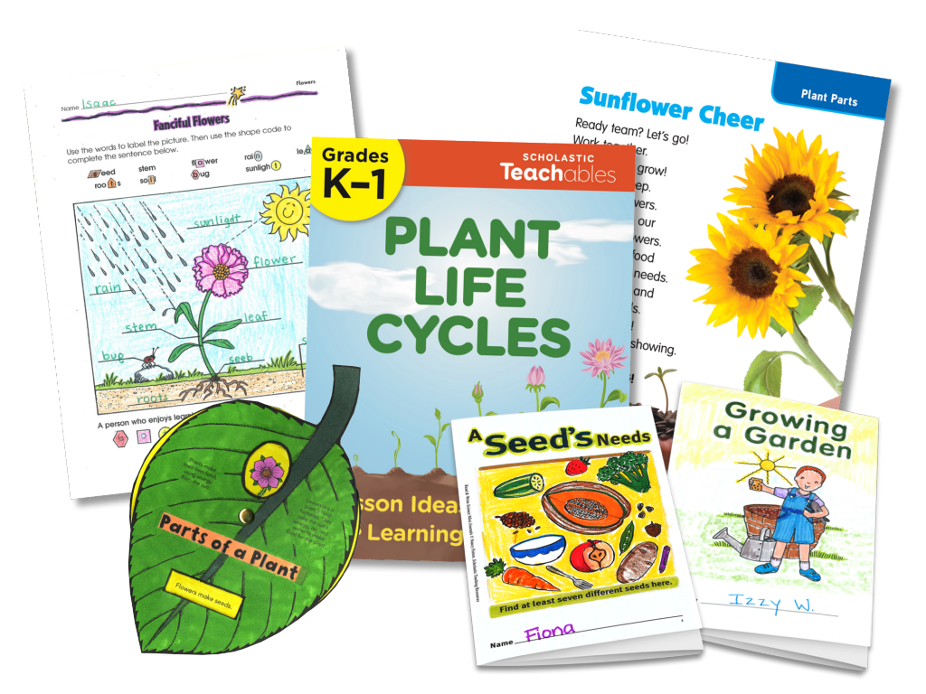 Image of printables about plants and plant life cycles